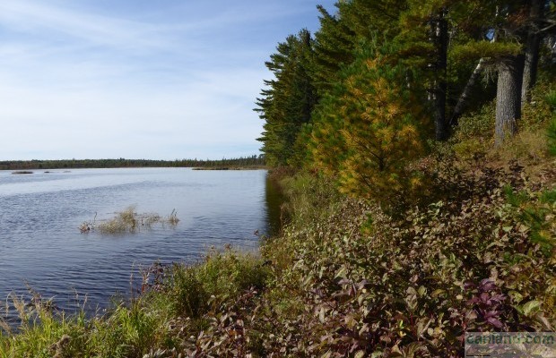Фото №4 Невозделанная земля на продажу в Canada, New Brunswick, Fosterville