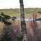 Photo №10 Undeveloped land for sale in Canada, New Brunswick, Fosterville