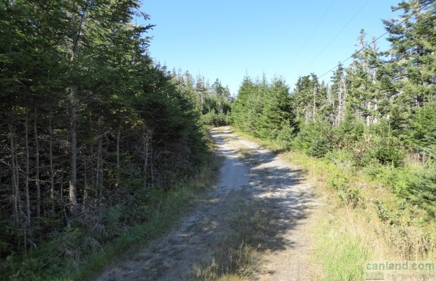 Photo №4 Undeveloped land for sale in Canada, Nova Scotia, Nova Scotia