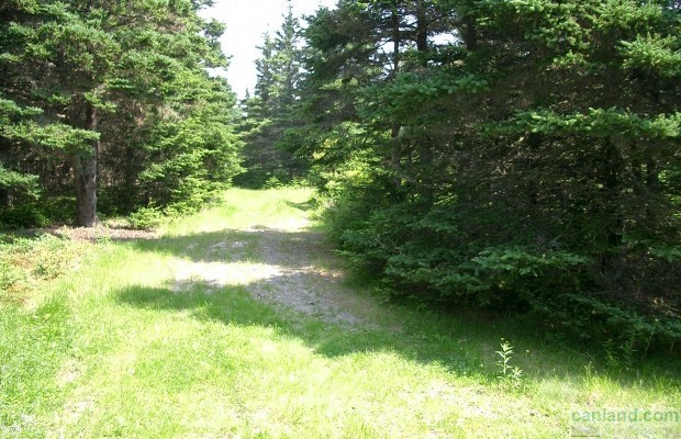 Photo №1 Undeveloped land for sale in Canada, Nova Scotia, Nova Scotia