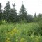 Photo №4 Yaban arazi satılık in Canada, Nova Scotia, Nova Scotia