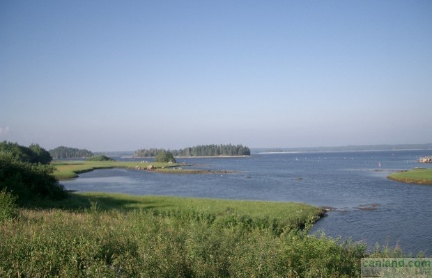 Φωτογραφία № 6 μη αξιοποιημένη έκταση προς πώληση στην τοποθεσία Canada, Nova Scotia, Shelburne
