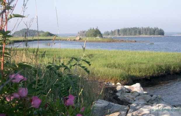 Photo №7 Undeveloped land for sale in Canada, Nova Scotia, Shelburne