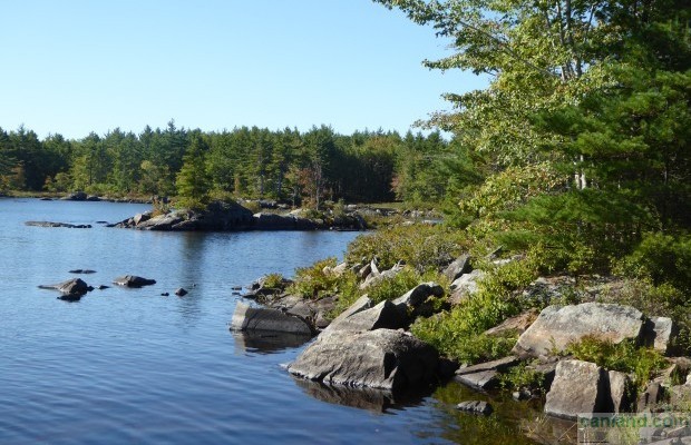 Photo №3 Undeveloped land for sale in Canada, Nova Scotia, Molega
