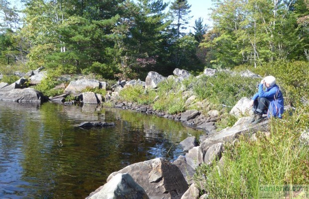 Фото №4 Невозделанная земля на продажу в Canada, Nova Scotia, Molega