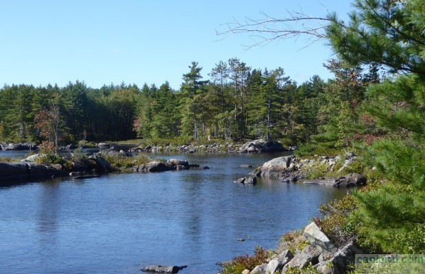 Фото №5 Невозделанная земля на продажу в Canada, Nova Scotia, Molega