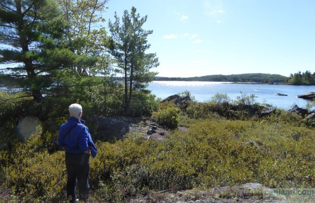 Photo №6 Undeveloped land for sale in Canada, Nova Scotia, Molega